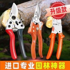 剪枝剪刀果樹德國家用修枝花剪樹枝粗枝剪強(qiáng)力園林園藝剪刀