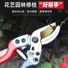剪枝剪刀果樹德國家用修枝花剪樹枝粗枝剪強(qiáng)力園林園藝剪刀