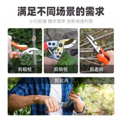 剪枝剪刀果樹德國家用修枝花剪樹枝粗枝剪強(qiáng)力園林園藝剪刀