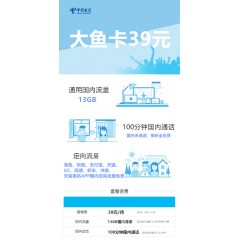 中國電信  大魚卡39元套餐【下訂單，中國郵政快遞包郵到家?！? width=