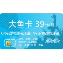 中國電信  大魚卡39元套餐【下訂單，中國郵政快遞包郵到家?！? width=