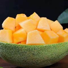 一只長在吐魯番的哈密瓜，西州蜜25號又叫“酥蜜25號”濃郁香甜，甜度驚人！??！