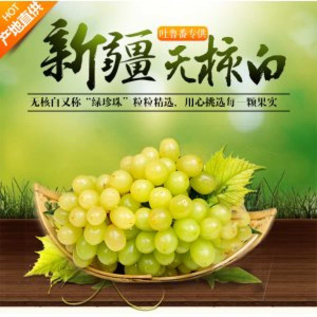 新疆 鮮葡萄  吐魯番無核白 鮮葡萄【件】