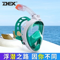 DEX戶外運動潛水裝備全干式浮潛三寶護目鏡游泳沖浪近視浮潛面鏡